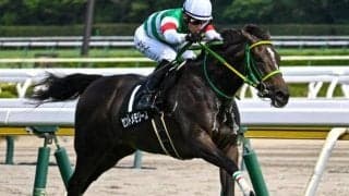 父の産駒初のスプリント重賞Vへ 3連勝中のエピファネイア産駒がシルクロードSに参戦