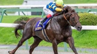 史上初600kg超馬のJRA重賞制覇なるか 海外も経験した“巨漢馬”が根岸Sに参戦