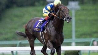 【根岸S予想】AIの推奨はDG競走3勝の実力馬 コース実績ありながら妙味にも期待大