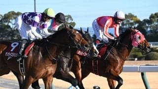 厩舎解散まで残り1カ月の名伯楽 「M6」に迫ったJRA1000勝に向け国内外でラストスパート