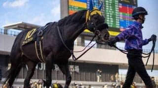 ダート1400mは勝率100％ 良血1.4億円馬が根岸Sで芝ダートW重賞制覇狙う