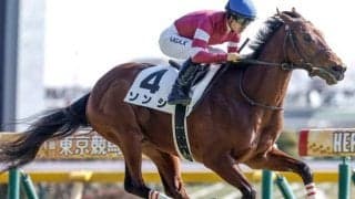 【シルクロードS出走馬・騎手確定】ソンシ＆川田将雅騎手、カピリナ＆戸崎圭太騎手など17頭