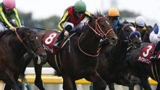 きょうだいにGI馬ズラリ 矢作芳人厩舎ゆかりの超良血馬が初陣V狙う