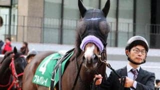 同期一番乗りの重賞V狙う若武者 プルパレイとのタッグでシルクロードSに参戦