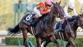 キングマン産駒の“大器” 無傷の3連勝でリステッドVなるか