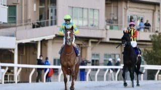 【佐賀記念】デルマソトガケなどJRA5頭が出走予定