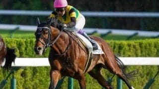 名牝スイープトウショウの仔が得意の舞台で3勝目を狙う