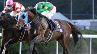 【根岸S枠順確定】タガノビューティーは5枠10番、フリームファクシは4枠8番