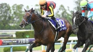 セレクト2.1億円 フィエールマン産駒の真打ちが初陣