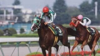 タイキポーラが29歳で死す トウカイテイオー産駒の01年マーメイドS覇者