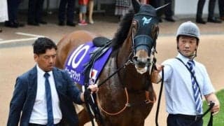 雨予報のシルクロードS 稍重で勝率100％の快足馬が逃げ切り図る
