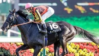 平成以降初の「3歳1勝クラス」でデビューVへ 矢作厩舎が“奇策”で米G1馬の仔を送り込む