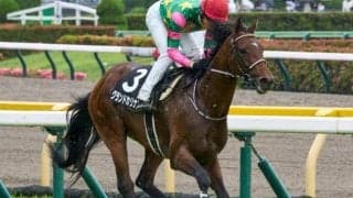 東京芝はイン有利 グランドカリナンが好位インから抜け出す