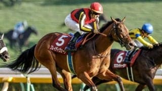 【東京新聞杯想定馬・騎手】ブレイディヴェーグ、ボンドガールなど19頭