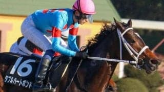 6馬身差→大差→3馬身差 ダート3戦無敗の大器が土曜京都メインに参戦