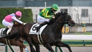 【きさらぎ賞想定馬・騎手】サトノシャイニング、ジェットマグナムなど9頭