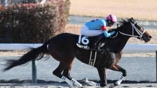 【今日の注目ポイント】東京と京都が開幕 東京でOPの白富士SとクロッカスS