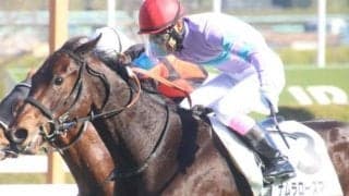 ミッキーアイル産駒の“ニューヒロイン” 巌流島Sで4連勝なるか