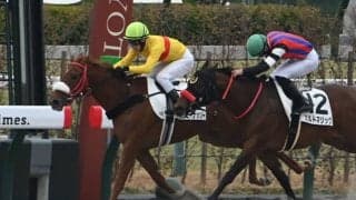 【京都5R新馬戦結果】コパノリッキー産駒ラブミーナッソーが叩き合いを制す