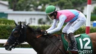 【シルクロードS予想】意外にも前走好走馬が結果を残すハンデ重賞！ 前走6着以下の牝馬には要注意