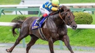 東京ダートは大型馬優勢 ドンフランキーの押し切りだ