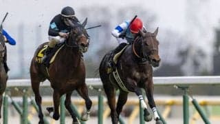 【クロッカスS】未勝利馬がオープン特別快勝の珍事…クラスペディアが逃げ切る