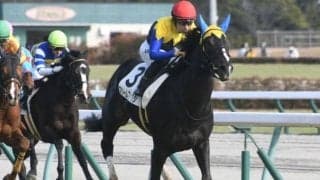 【AI予想・根岸S】フェブラリーSに向けて最も重要な前哨戦！ 人工知能はダート1400mで無敗の実力馬を高評価