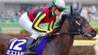 母はファンタジーS覇者ミスエルテ ジャサルディアが既走馬相手にデビュー勝ちなるか