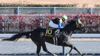 【今日の注目ポイント】東京で根岸Sと京都でシルクロードS