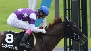 【根岸S予想】今年は馬場状態もポイント 追い込みが決まりやすい厳冬の一戦