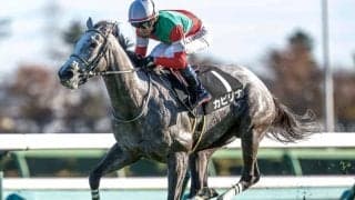 【シルクロードS】高松宮記念に繋がる注目の一戦 上り坂でも先行できるスピードが鍵を握る