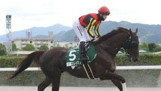【競馬予想】根岸Ｓは「大荒れ」の予感...穴党記者が推奨する驚愕の２頭