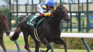 【根岸S予想】狙うなら好ポジからの上がり最速タイプ？ 過去データから探るGIII根岸S