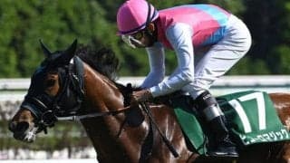 シルクロードSはピューロマジックの逃げ切り有望