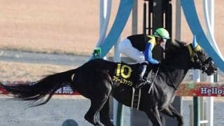 【根岸S・馬体重】フリームファクシは524kg(-2)、コスタノヴァは496kg(-1)