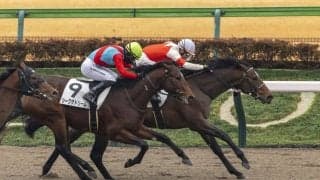 【新馬/東京4R】サトノアラジン産駒 ウィテカービートがデビューV