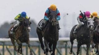 【セントポーリア賞】エネルジコがデビュー2連勝…出遅れも関係なし