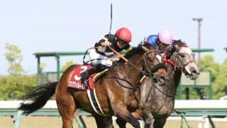 アスクワイルドモアが引退