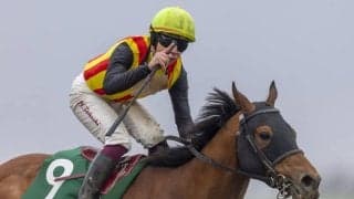 【根岸S】横山武「凄く良いものを持っている」コスタノヴァが得意の東京で重賞V