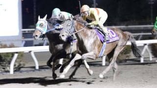 【高知・黒潮スプリンターズC】コパノリッチマンが快勝…アラジンバローズは2着