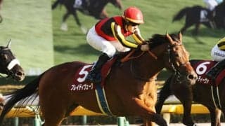 【東京新聞杯登録馬】ブレイディヴェーグなど17頭