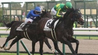 【きさらぎ賞登録馬】サトノシャイニングなど12頭