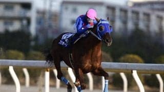 13年連続優秀騎手賞の名手や4度の年度代表馬 NARグランプリ創設35年を前に過去の受賞人馬を振り返る