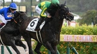 【きさらぎ賞見どころ】好素材サトノシャイニングが初重賞制覇だ