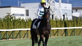 【きさらぎ賞想定騎手】ショウヘイは川田将雅騎手、サトノシャイニングは西村淳也騎手