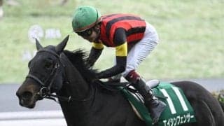 【シルクロードS】売上は46億4032万8700円で昨年より約12.5億円の大幅減