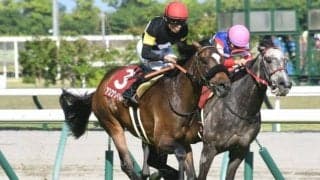 アスクワイルドモアが登録抹消、今後は乗馬に 22年の京都新聞杯覇者