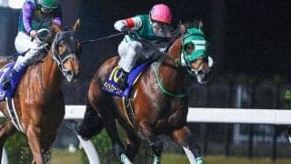 【川崎・報知オールスターC枠順】昨年の地方年度代表馬ライトウォーリアは7枠11番