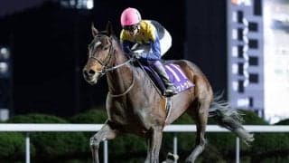 【佐賀記念枠順】連覇狙うノットゥルノは6枠7番