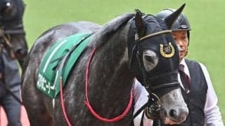 【先週のJRA抹消馬】昨年の福島牝馬S覇者コスタボニータ、22年のクラシック戦線沸かせたピースオブエイトやアスクワイルドモアなど